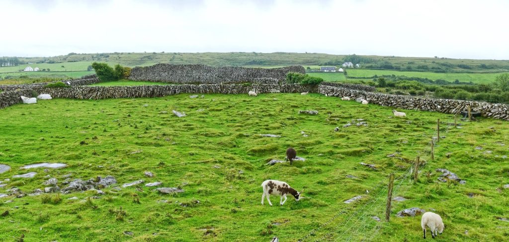 Caherconnell Stone Fort: A Medieval Gaelic Ringfort in Ireland 4 Caherconnell Stone Fort