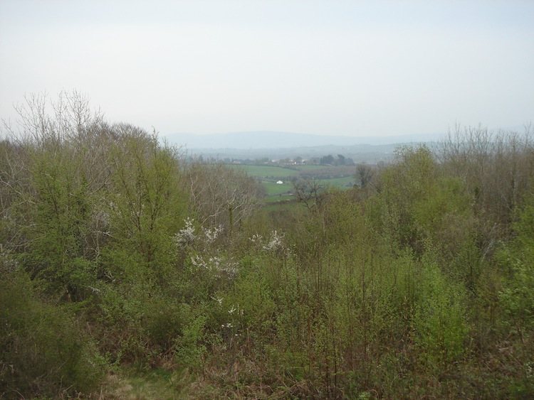 Mooghaun: A Late Bronze Age Hillfort in Ireland