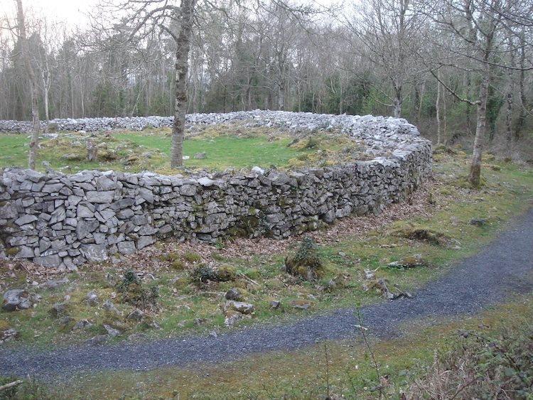 Mooghaun: A Late Bronze Age Hillfort in Ireland 3 Mooghaun