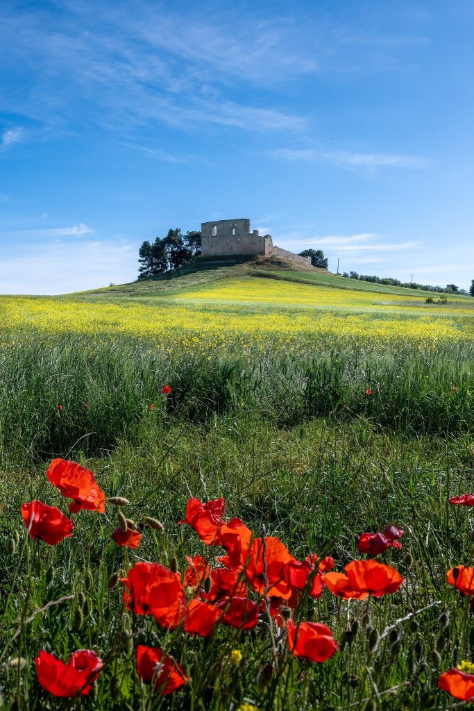 Castello di Gravina