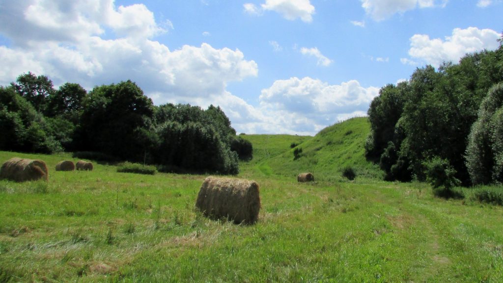 Aizkraukle Hillfort: A Liv Stronghold and Medieval Castle Site in Latvia 3 Aizkraukle hillfort