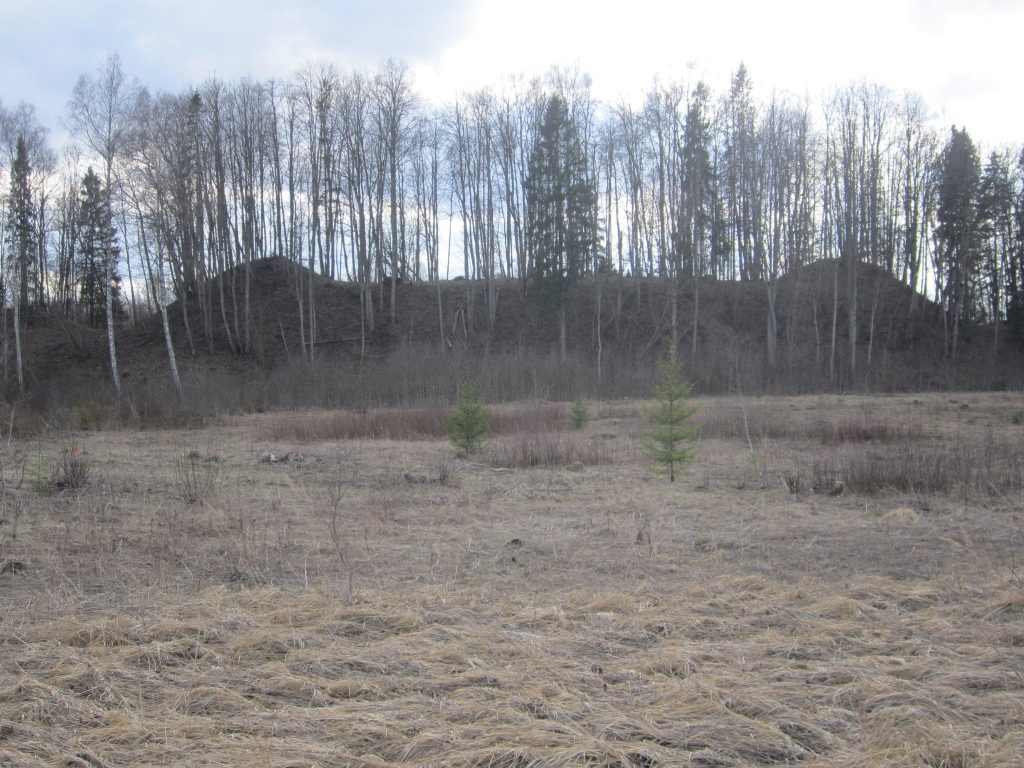 Ķoderu hillfort: A Late Iron Age Liv Settlement in Latvia 1 Ķoderu hillfort