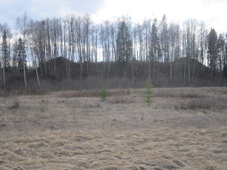 Ķoderu hillfort: A Late Iron Age Liv Settlement in Latvia