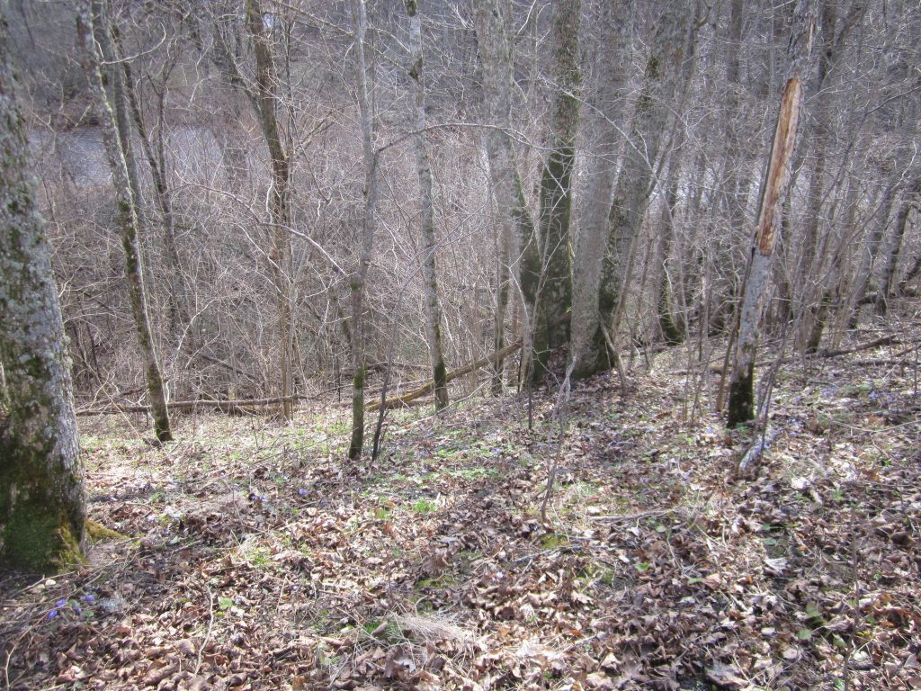 Ķoderu hillfort: A Late Iron Age Liv Settlement in Latvia 3 Ķoderu hillfort
