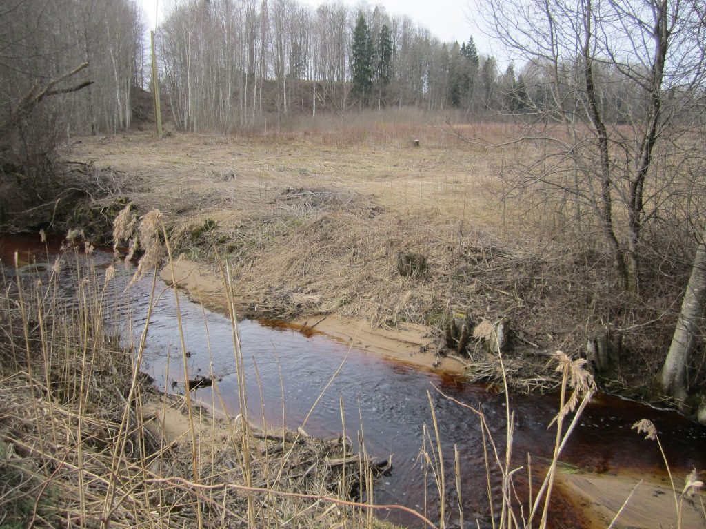 Ķoderu hillfort: A Late Iron Age Liv Settlement in Latvia 4 Ķoderu hillfort