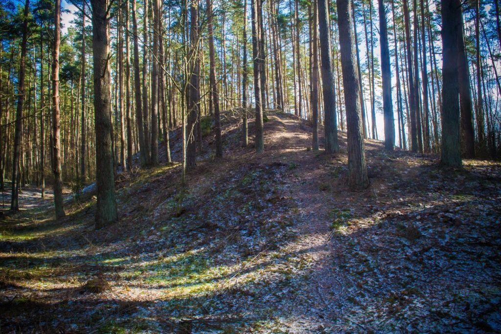 Babītes Hillfort: A Medieval Fortified Site in Latvia 4 Babītes hillfort