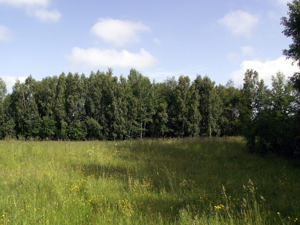 Kačaičių piliakalnis: A Fortified Hillfort in Lithuania 1 Kačaičių piliakalnis