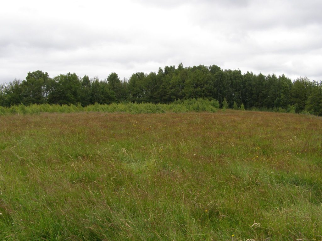 Martynaičių piliakalnis