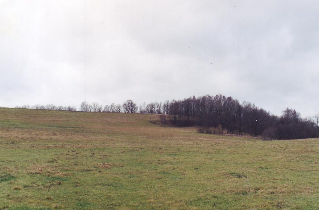 Martynaičių piliakalnis