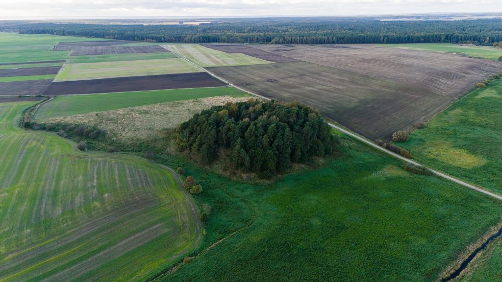 Hillfort Nagarba: A Medieval Hillfort and Settlement in Lithuania 1 Hillfort Nagarba