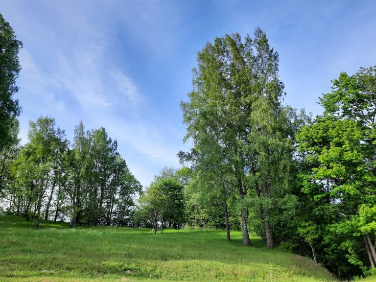 Gandinga Hillfort: A Tribal and Medieval Defensive Center in Lithuania