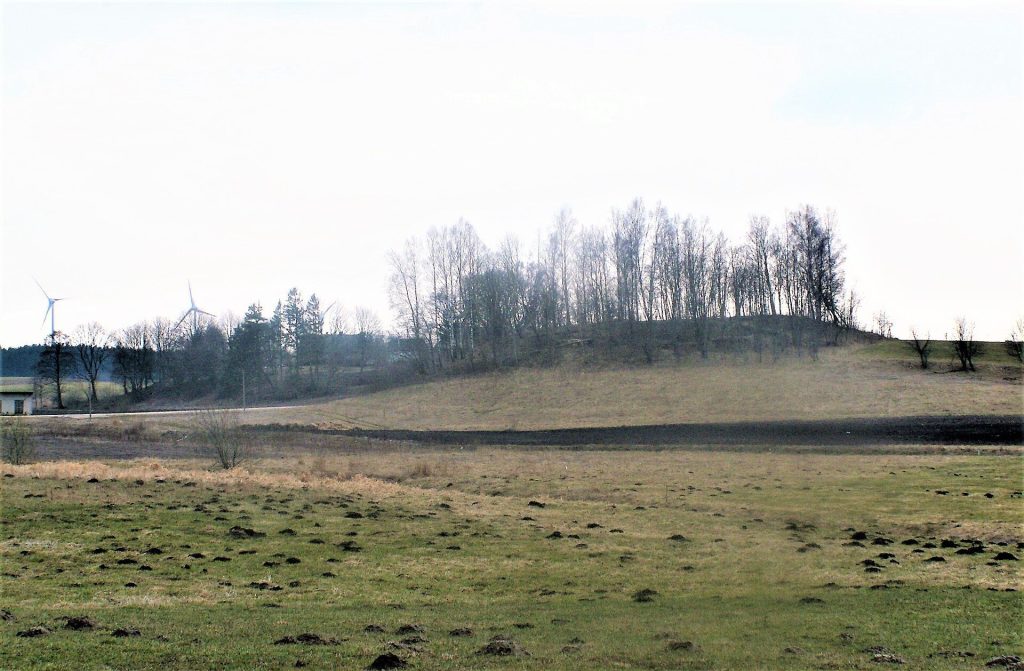 Hillfort Rūdaičiai: A First-Millennium to Thirteenth-Century Fortified Site in Lithuania 2 Hillfort Rūdaičiai