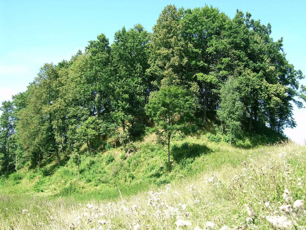 Ivangėnai Hillfort: An Archaeological Complex in Lithuania 1 Ivangėnai hillfort