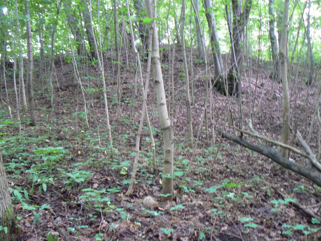 Kalniškės piliakalnis: A Curonian Hillfort in Lithuania 1 Kalniškės piliakalnis