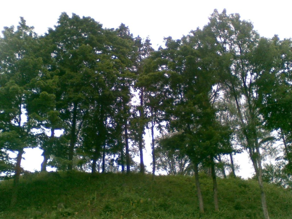 Aukštadvaris Hillfort: A Medieval Fortified Settlement in Lithuania 1 Aukštadvaris hillfort
