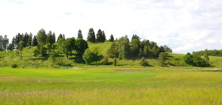Pakalnių piliakalnis: A Lithuanian Hillfort and Settlement