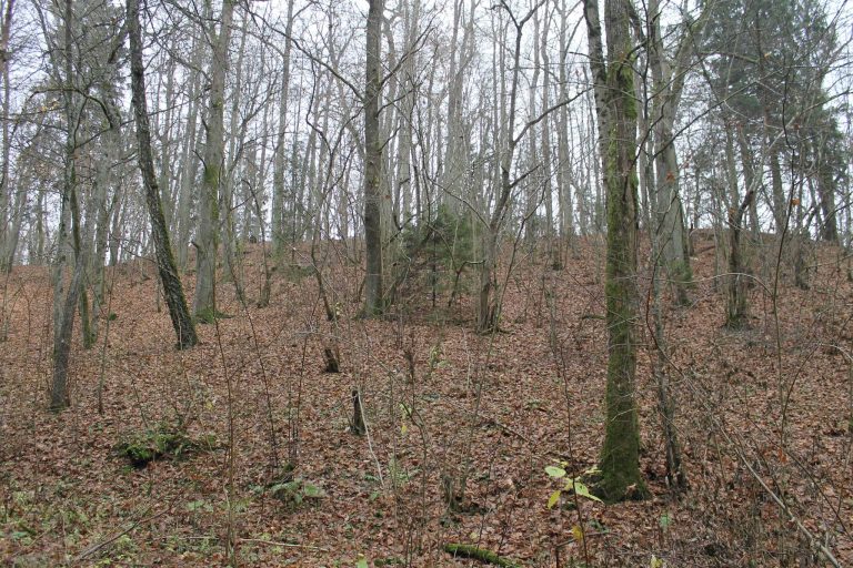 Kalno Grikštų II Hillfort: A Curonian Frontier Fortification in Lithuania