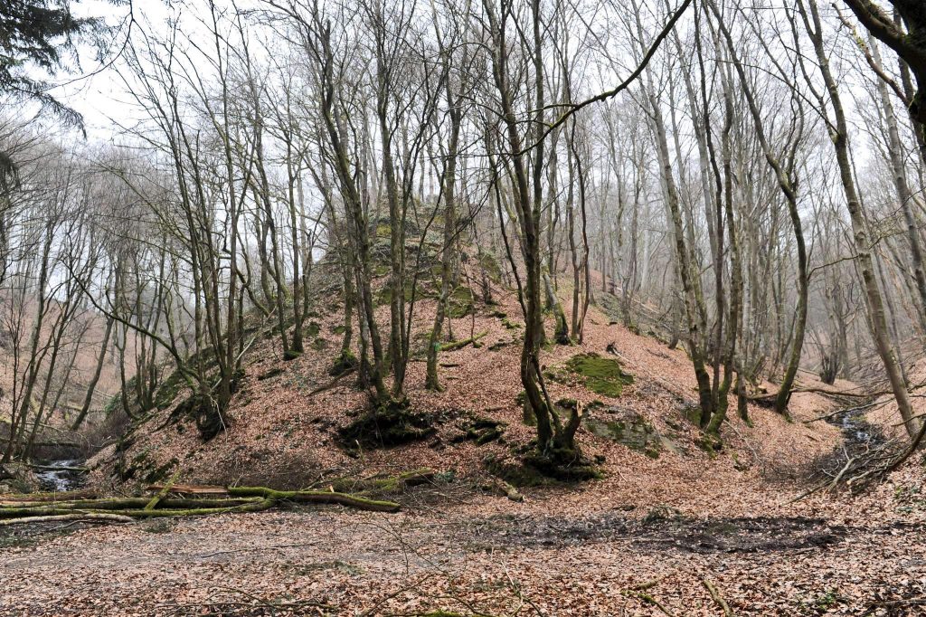 Schuerels Castle: A Medieval Castle Ruin in Luxembourg 3 Schuerels Castle