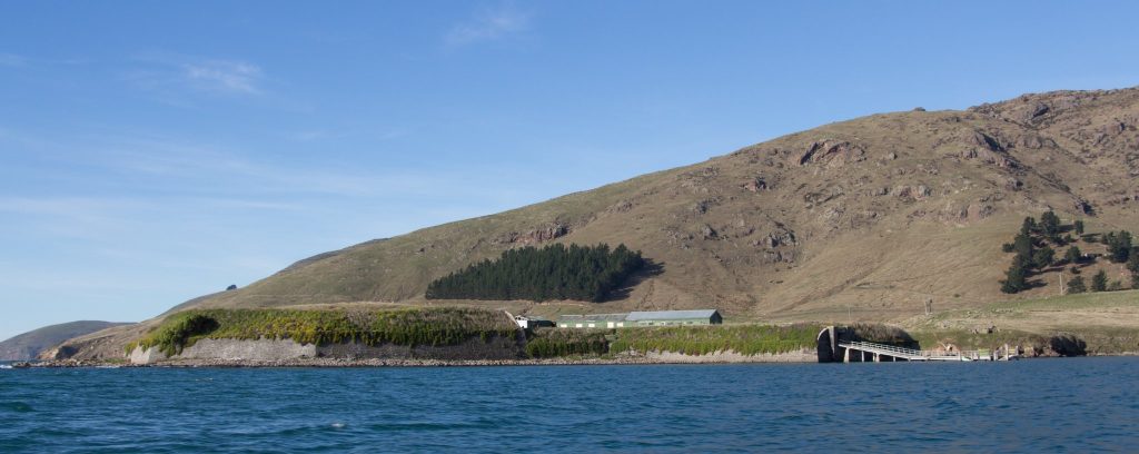 Ripapa Island: Māori Pā and Coastal-Defence Fort 3 Ripapa Island