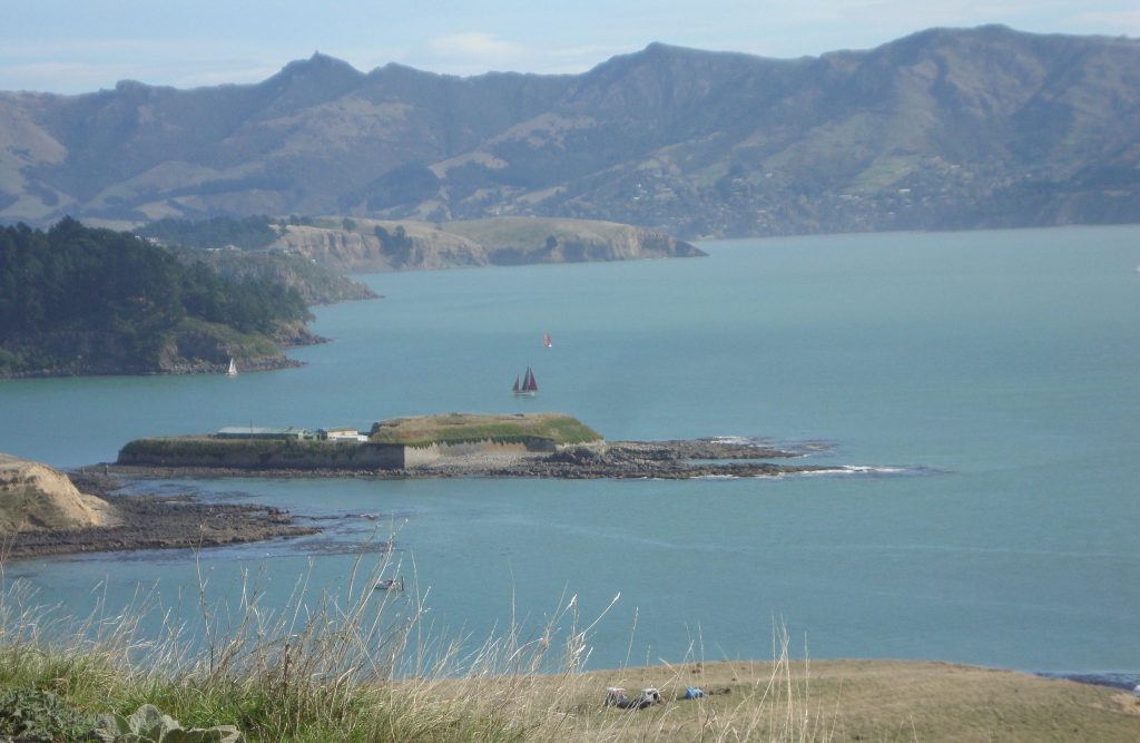 Ripapa Island: Māori Pā and Coastal-Defence Fort 4 Ripapa Island