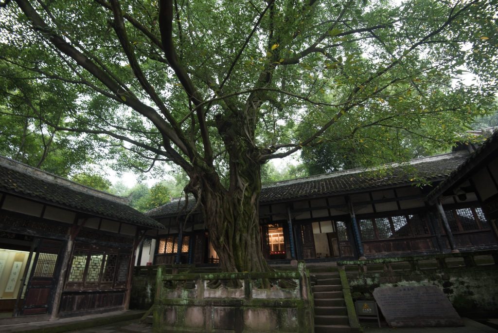 Diaoyu Fortress: A Southern Song Mountain Stronghold in China 3 Diaoyu Fortress