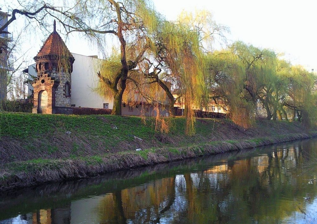 Sielecki Park in Sosnowiec: A Historic Landscape Park 1 Sielecki Park in Sosnowiec