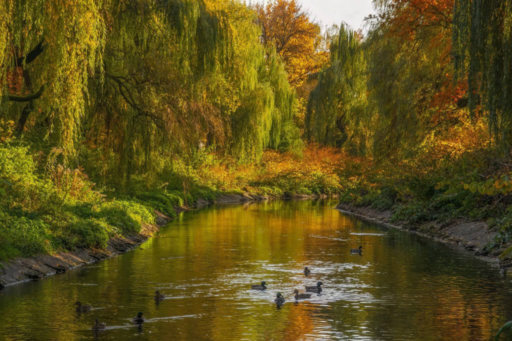 Sielecki Park in Sosnowiec: A Historic Landscape Park 2 Sielecki Park in Sosnowiec