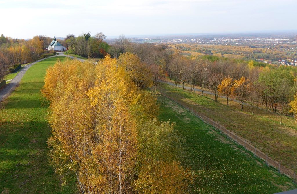 Bocheniec Hill Stronghold: An Early-Medieval Fortified Settlement in Poland 2 grodzisko na Bocheńcu