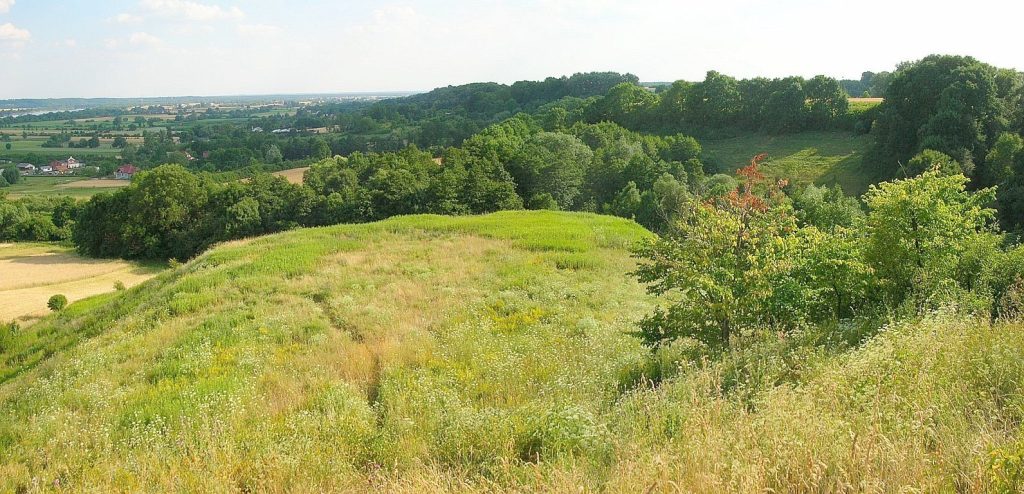 Strzelce Dolne Stronghold: An Early Medieval Piast Settlement in Poland 1 Strzelce Dolne (grodzisko)