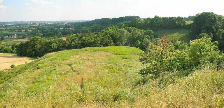 Strzelce Dolne Stronghold: An Early Medieval Piast Settlement in Poland