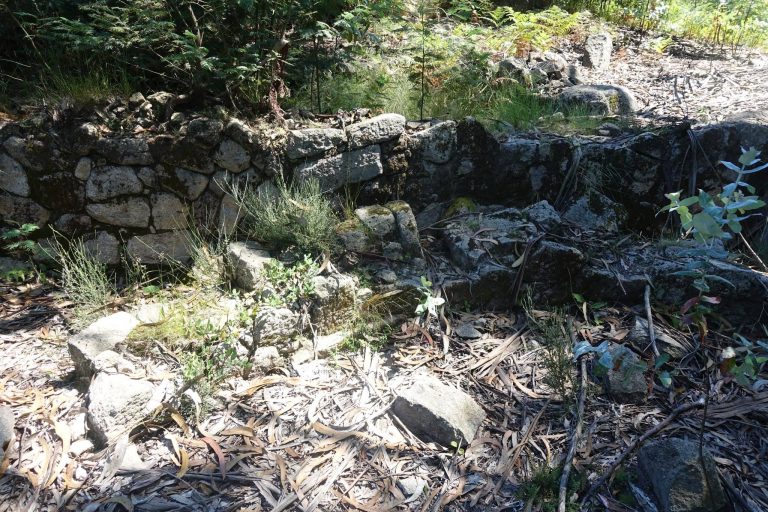 Citânia de Sabroso: An Iron Age Fortified Settlement in Portugal