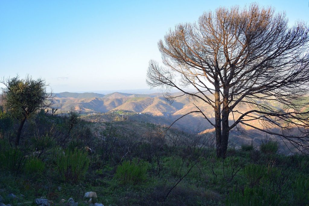 Sítio arqueológico do Cerro do Castelo de Alferce