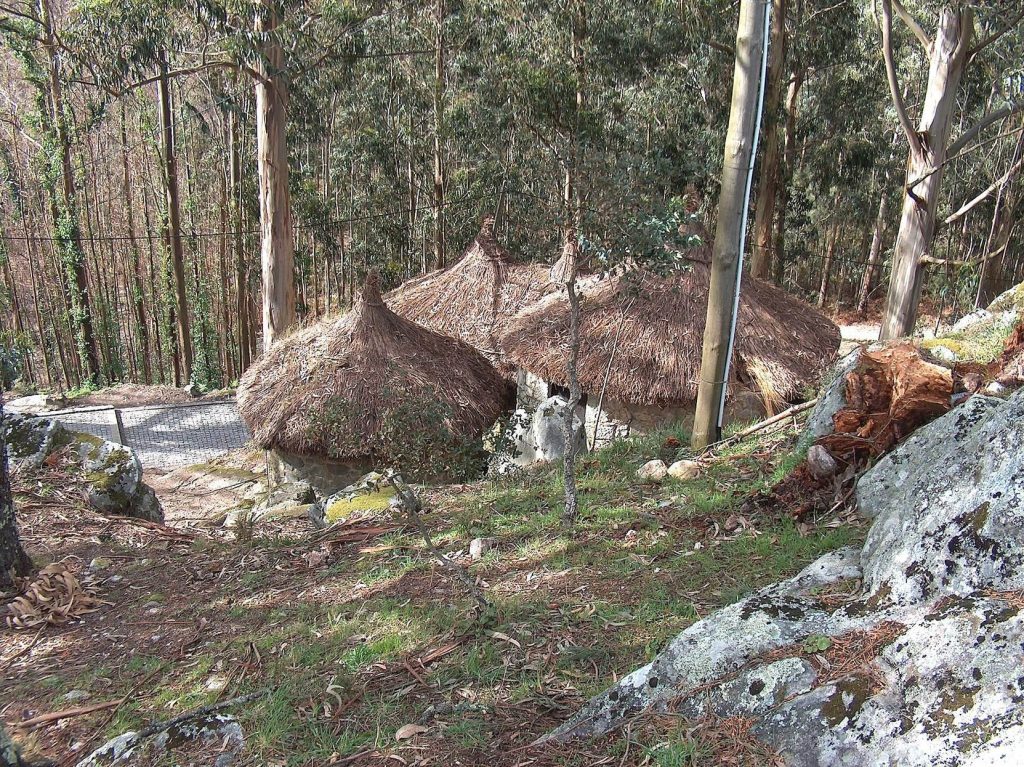 Castro de São Lourenço: A Fortified Archaeological Settlement in Portugal 3 Castro de São Lourenço