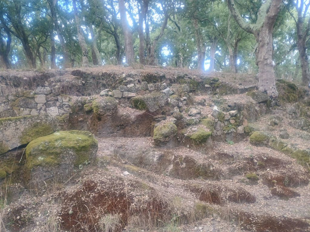Castro do Monte Padrão: A Fortified Hilltop Settlement in Portugal 3 Castro do Monte Padrão