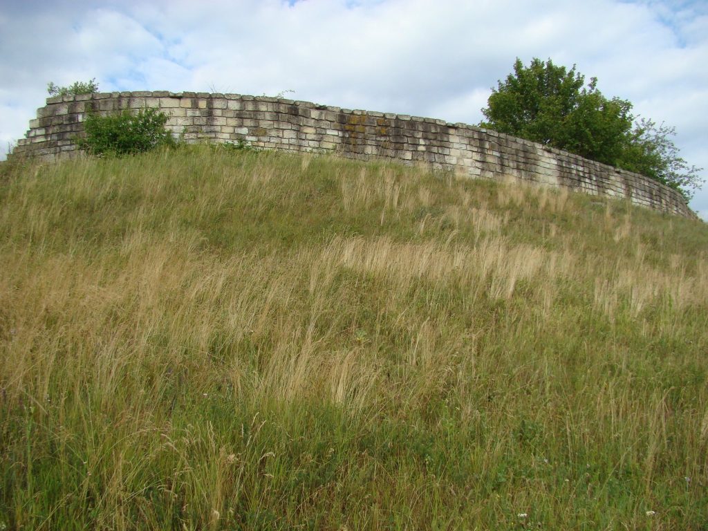 Dăbâca Fortress: The Medieval Royal Fortress of Dăbâca County 1 Dăbâca Fortress