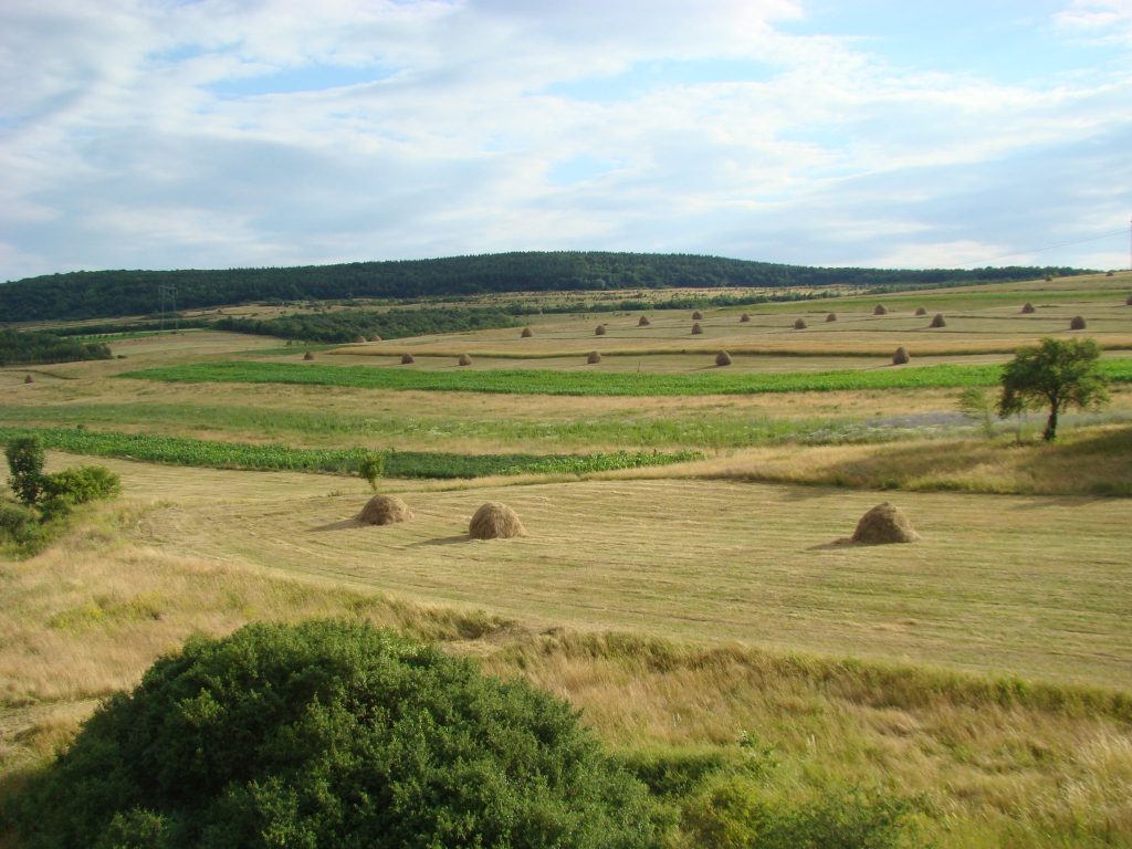 Dăbâca Fortress: The Medieval Royal Fortress of Dăbâca County 3 Dăbâca Fortress