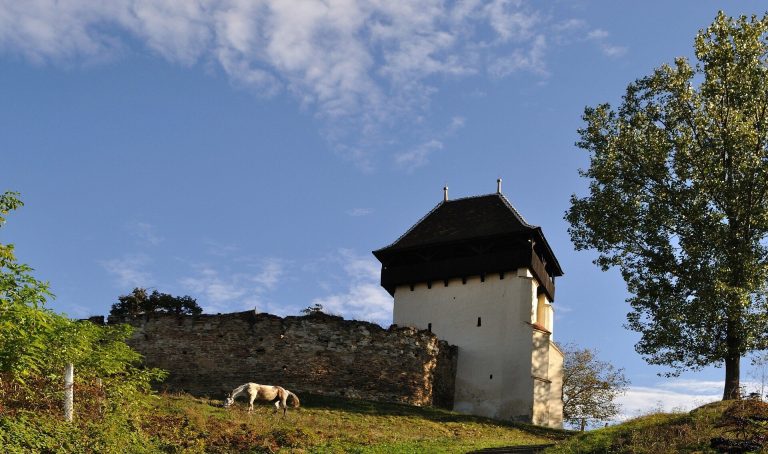 Lutheran Church in Țapu, Sibiu: A Fortified Late Gothic Church