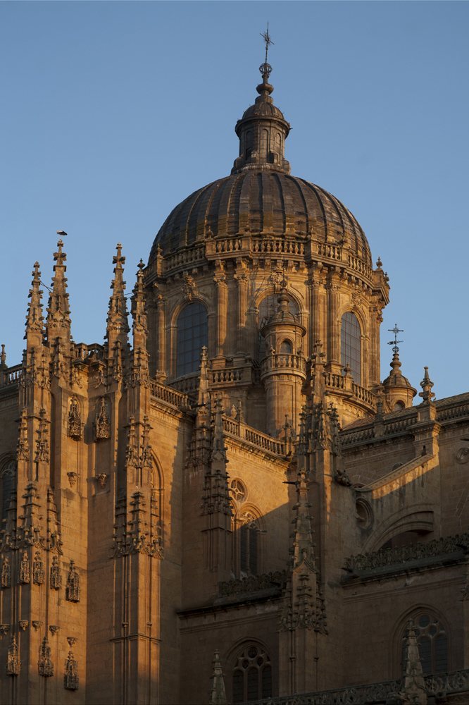 Salamanca New Cathedral: A Late Gothic Cathedral in Spain 3 Salamanca New Cathedral