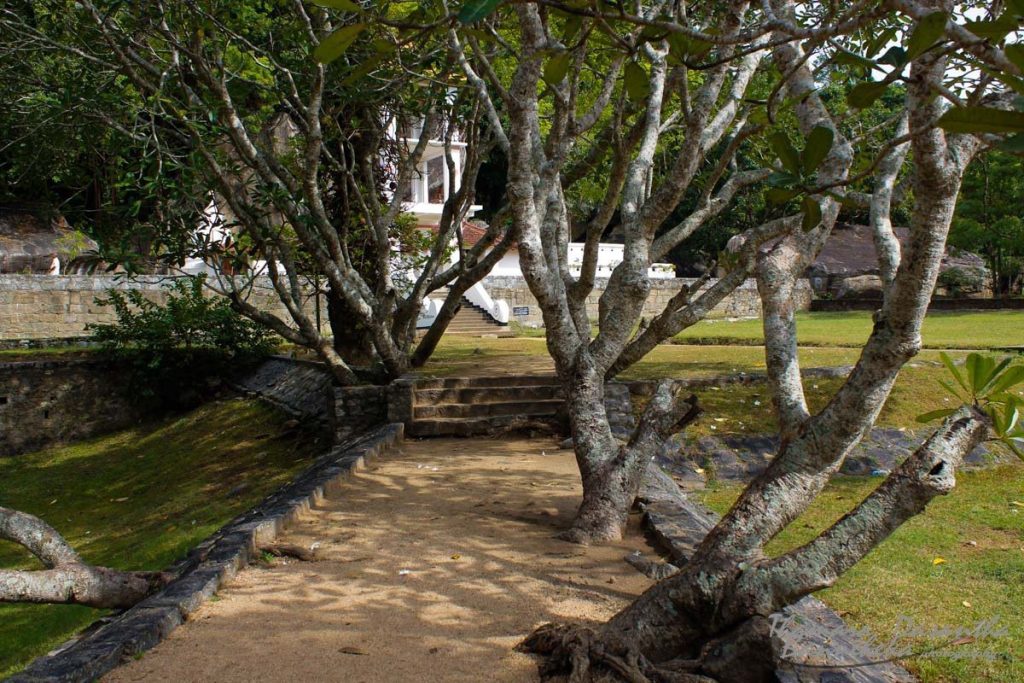 Yapahuwa: Medieval Capital and Fortress of Sri Lanka 4 Yapahuwa