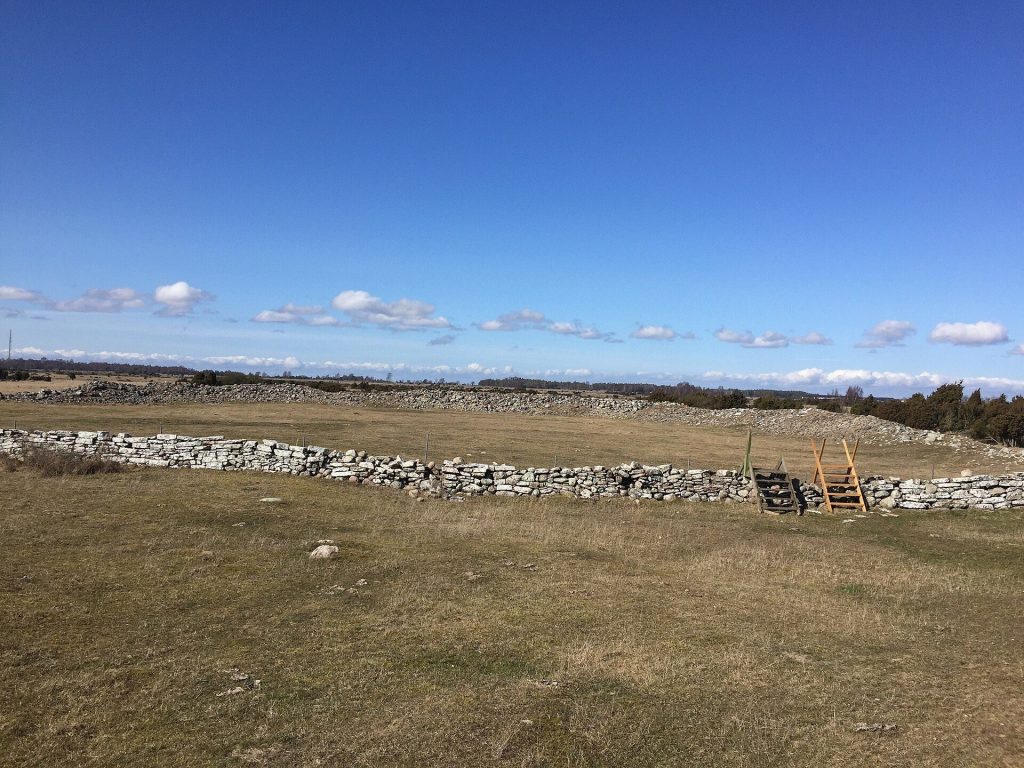 Sandby borg: An Iron Age Ringfort in Sweden 2 Sandby borg