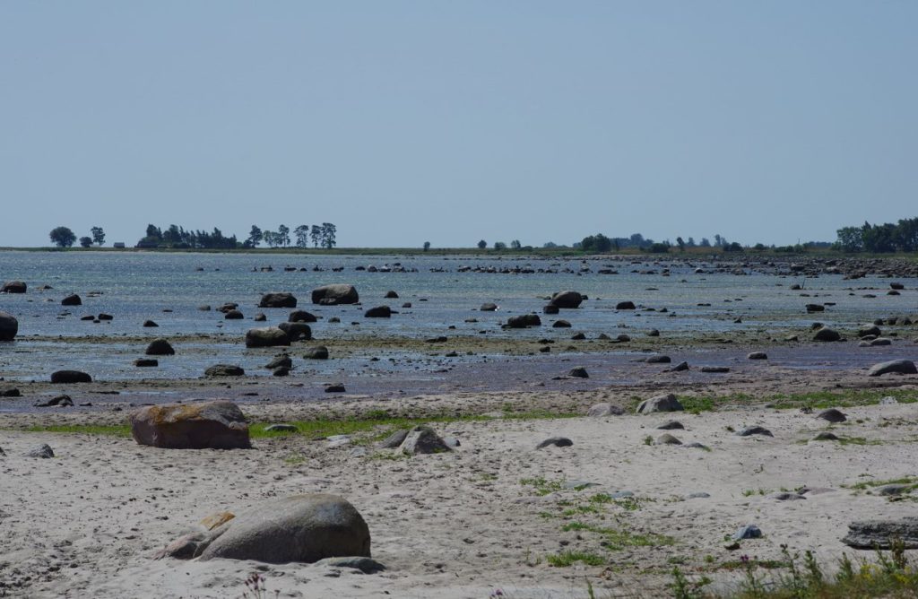 Sandby borg: An Iron Age Ringfort in Sweden 3 Sandby borg