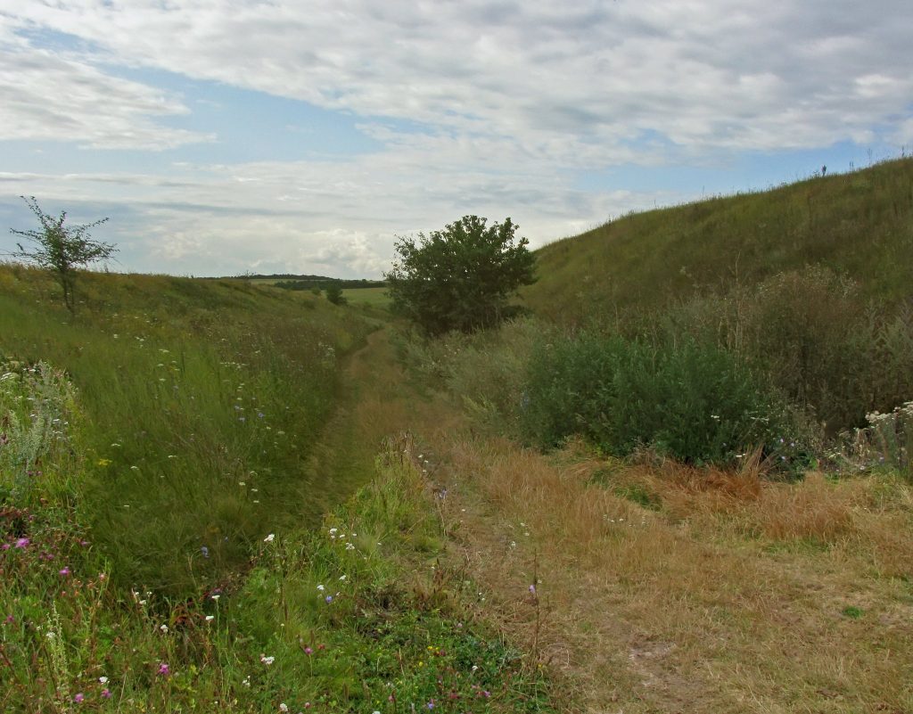 Nemyriv Hill Fort