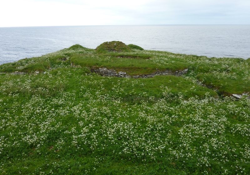 Nybster Broch: An Iron Age Atlantic Roundhouse in Scotland 2 Nybster Broch