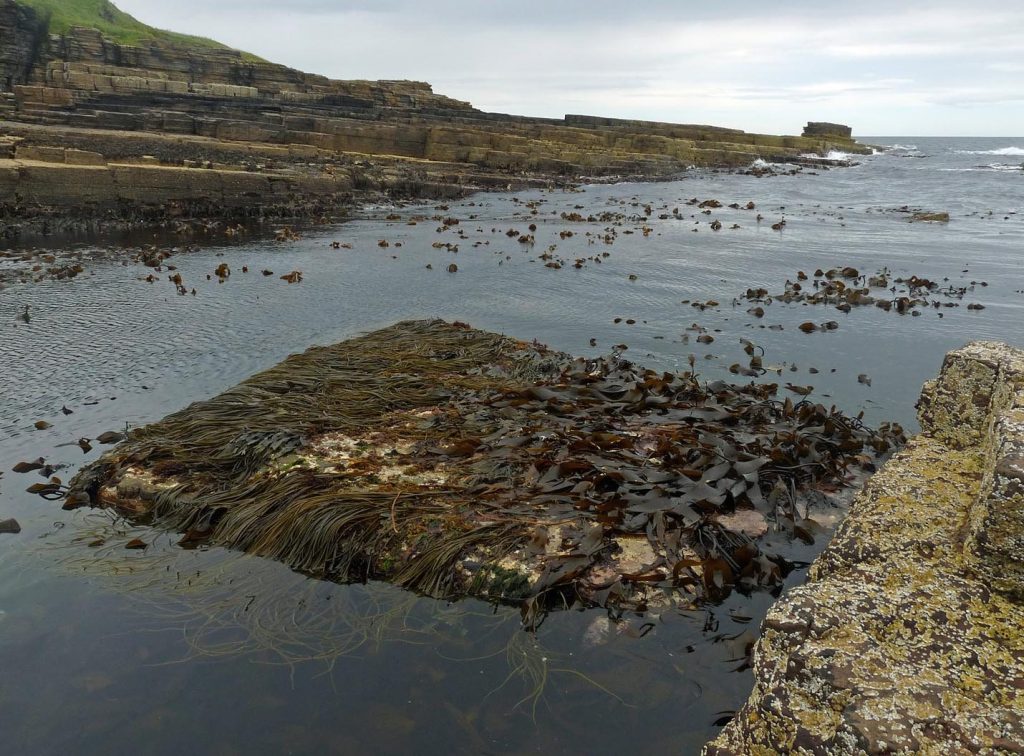 Nybster Broch: An Iron Age Atlantic Roundhouse in Scotland 4 Nybster Broch
