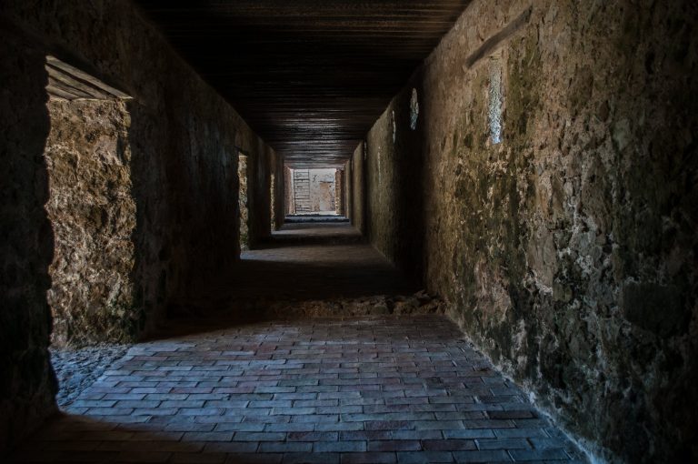 San Carlos de la Barra Fortress: A Spanish Colonial Coastal Fort in Venezuela