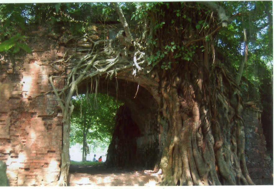 Son Tay Ancient Citadel: A Nguyen-Dynasty Fortress in Vietnam 2 Son Tay Ancient Citadel