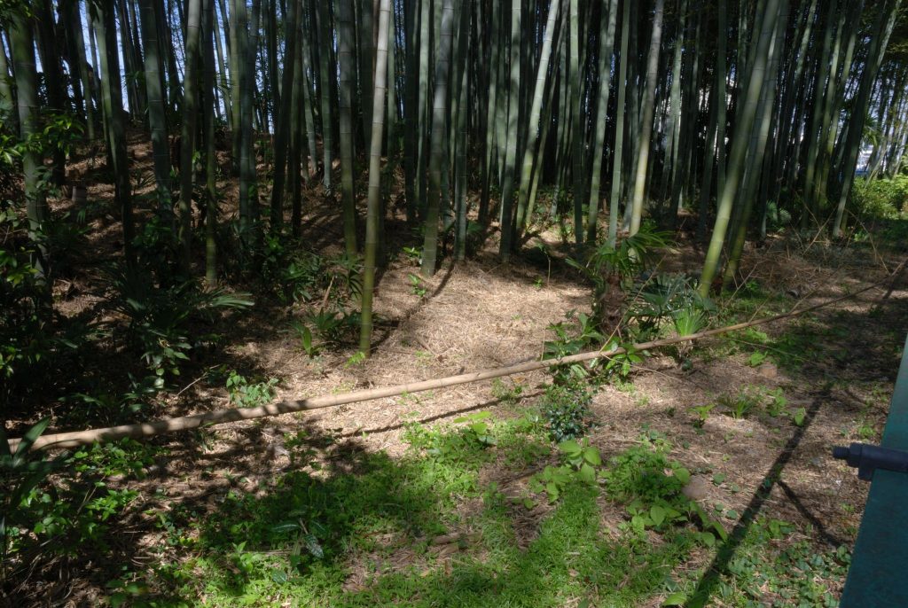 Koga Castle: A Koga Kubo Fortress and Edo-Period Domain Center in Japan 4 Koga Castle