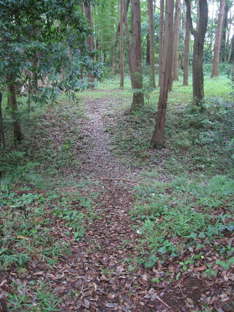Nedo Castle: A Sengoku-Period Japanese Castle in Abiko 1 Nedo Castle