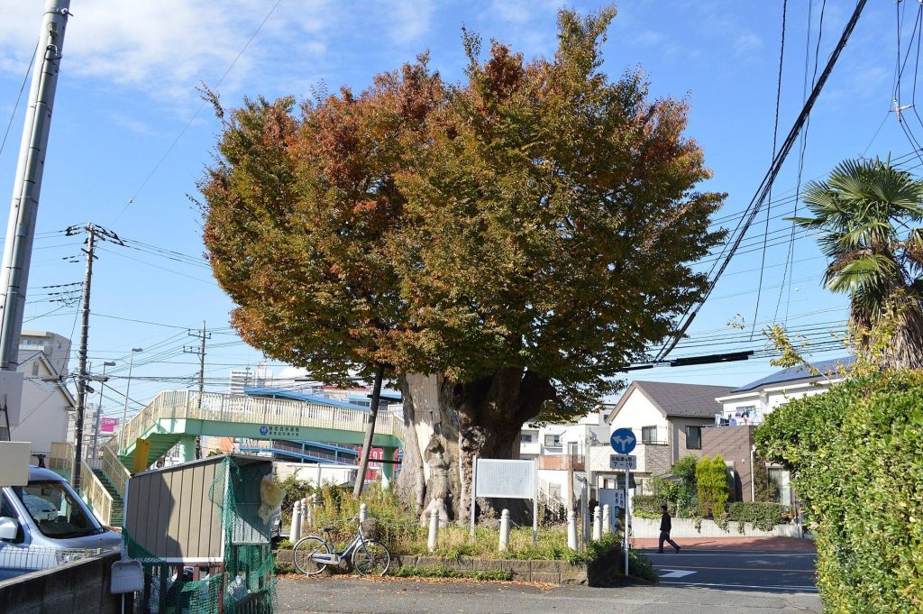Sagami Kokubun-ji Temple