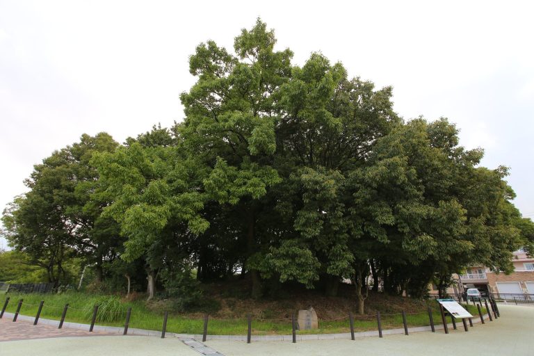 Osamezuka Kofun: A Fifth-Century Burial Mound in Sakai, Japan